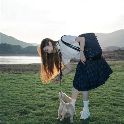 莫哈韦沙漠