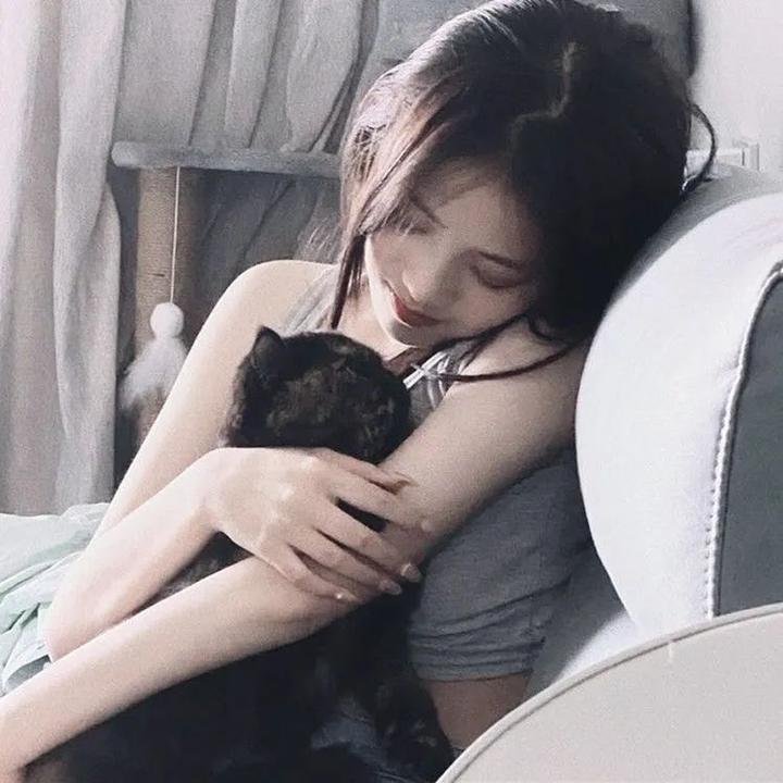 森林里的熊先生